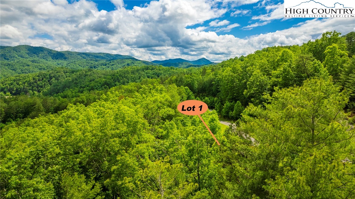 Lot 1 Reynolds Parkway Ferguson, NC 28624 - Photo 4 of 10