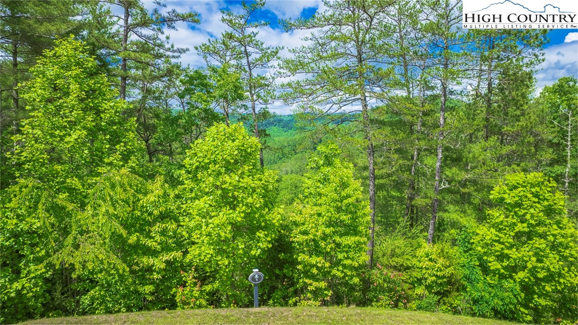 Lot 1 Reynolds Parkway Ferguson, NC 28624 - Photo 5 of 10 a view of a garden