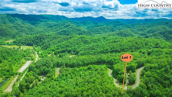 a view of green field