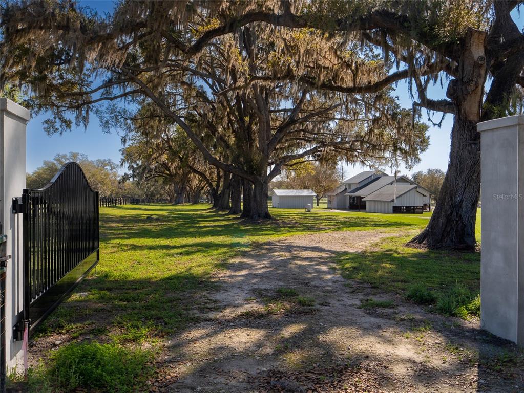 15157 Northwest 112th Place Road Morriston, FL 32668 - Photo 3 of 27