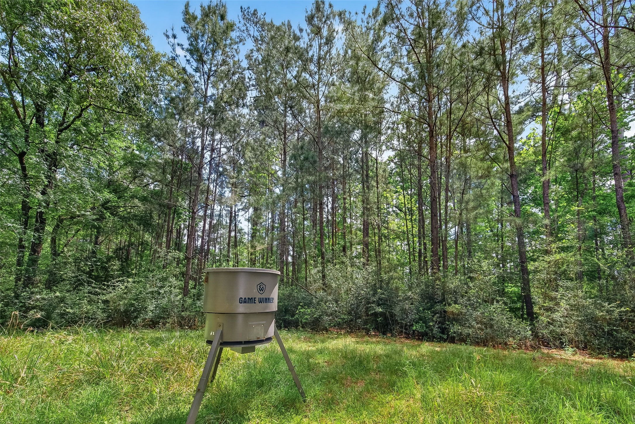 1905 Post Ridge Drive Conroe, TX 77304 - Photo 47 of 50