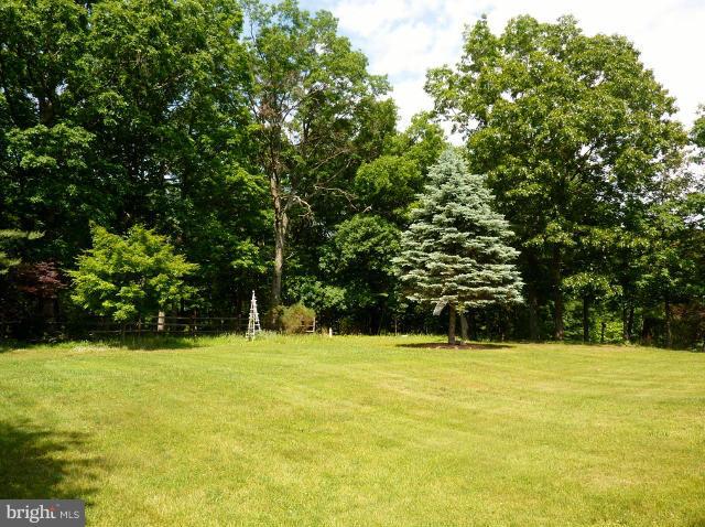 311 Gardners Road Cross Junction, VA 22625 - Photo 28 of 30 Lovely 5 acres