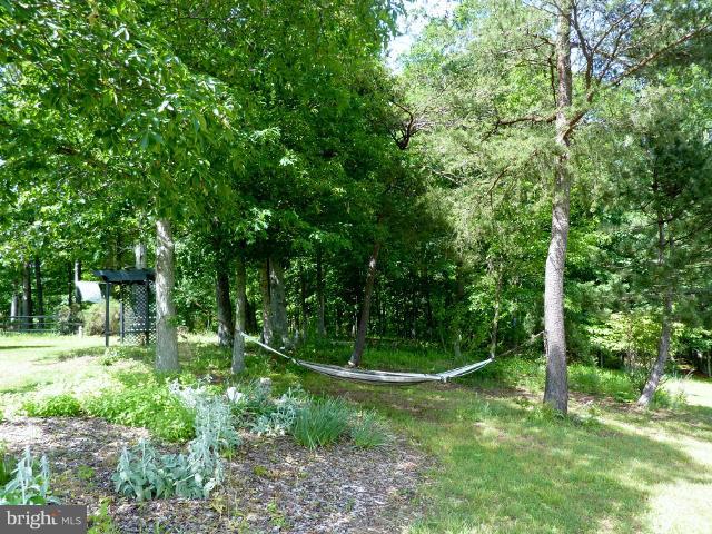 311 Gardners Road Cross Junction, VA 22625 - Photo 30 of 30 Exterior (General)