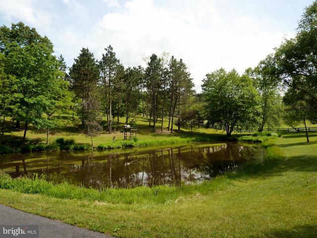 311 Gardners Road Cross Junction, VA 22625 - Photo 6 of 30 Pond