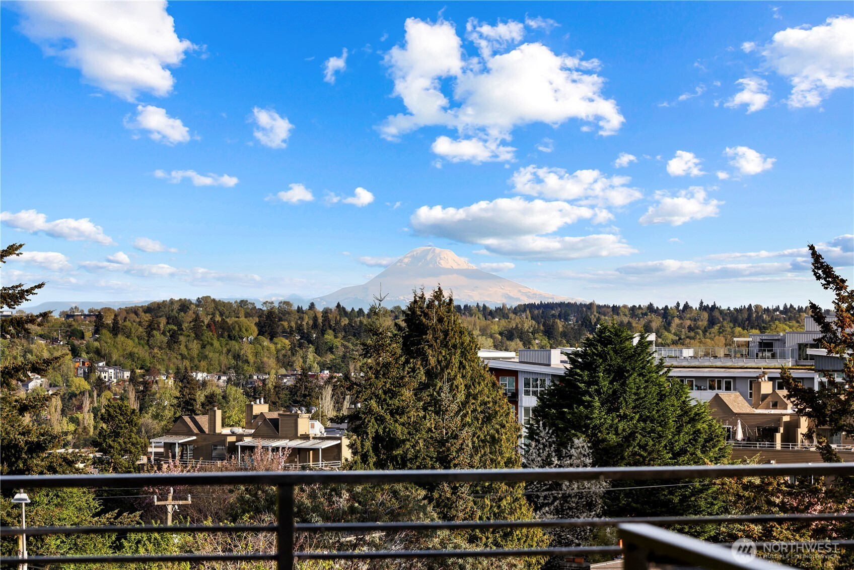 4137 Fauntleroy Way Southwest Seattle, WA 98126 - Photo 30 of 39