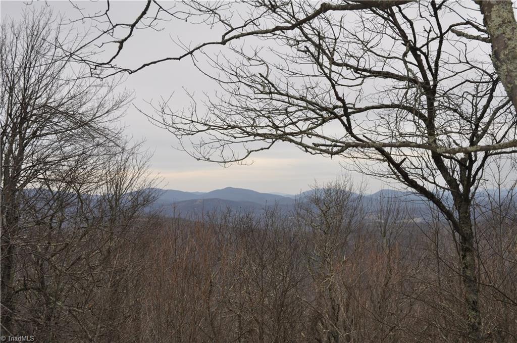 Tbd Running Deer Trail Boone, NC 28607 - Photo 3 of 5