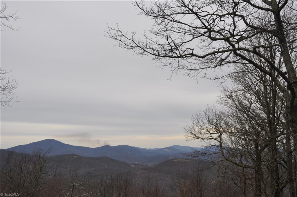 Tbd Running Deer Trail Boone, NC 28607 - Photo 4 of 5