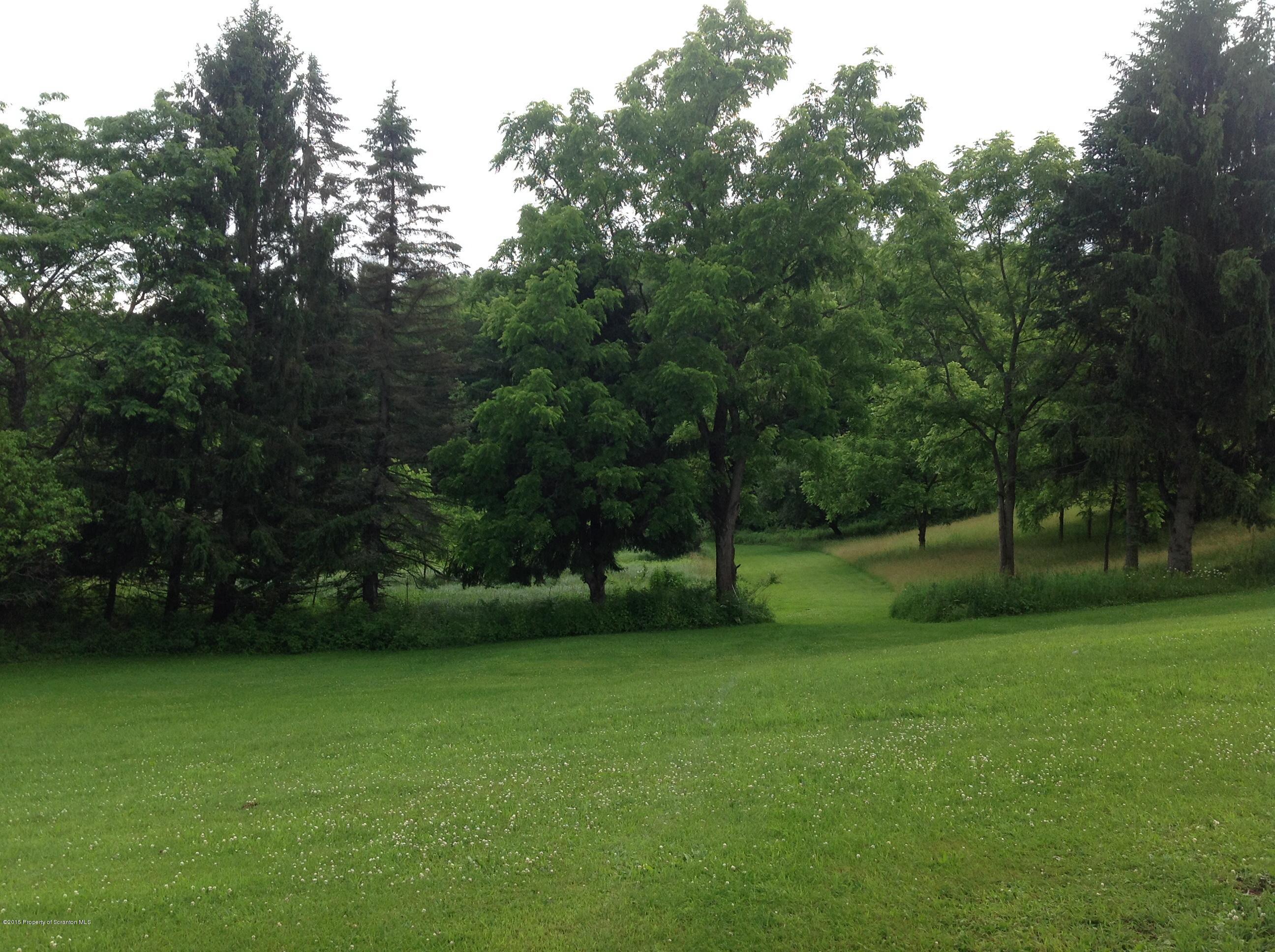 754 Squier Hill Road Nicholson, PA 18446 - Photo 27 of 39 Yard