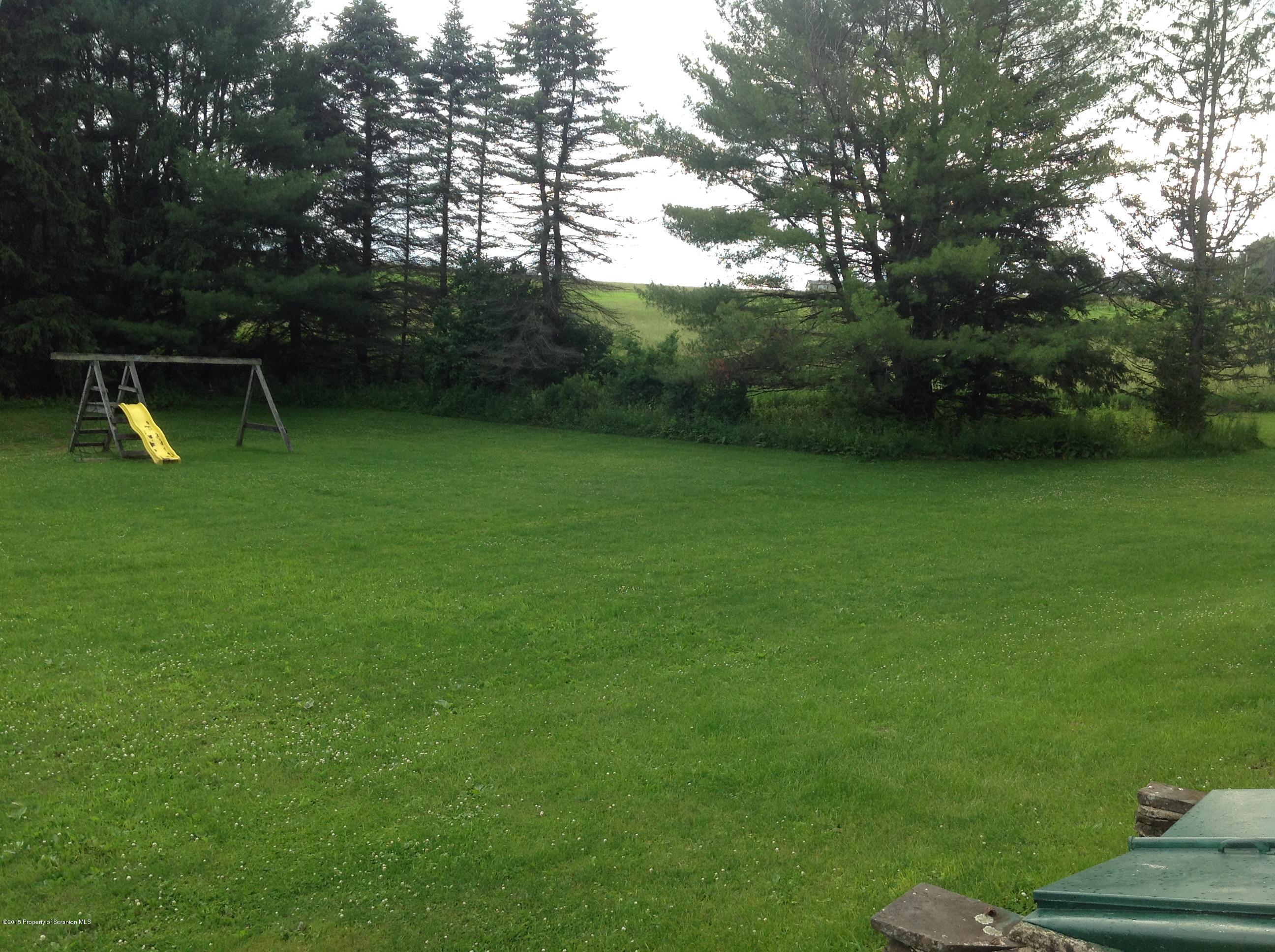 754 Squier Hill Road Nicholson, PA 18446 - Photo 28 of 39 Yard