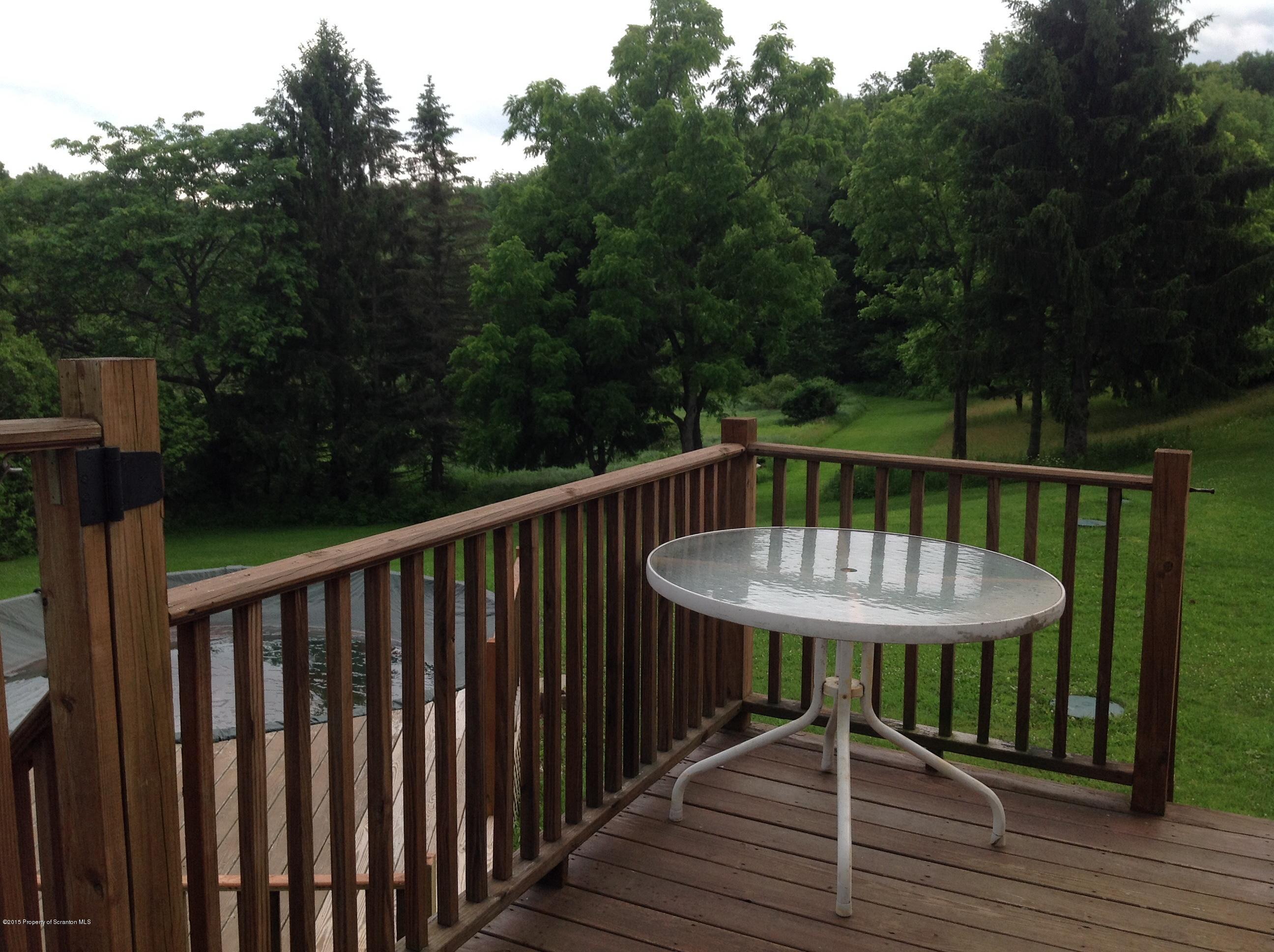 754 Squier Hill Road Nicholson, PA 18446 - Photo 30 of 39 Deck