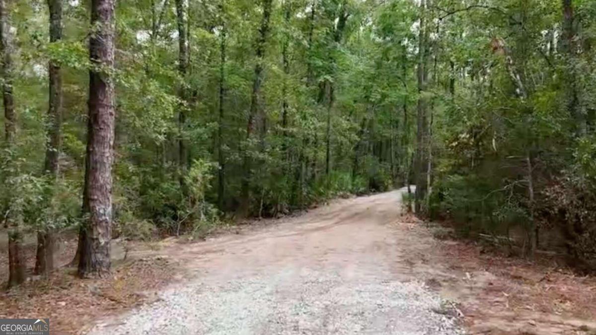 Lot 8 Emmaus Church Road St. George, GA 31562 - Photo 3 of 12