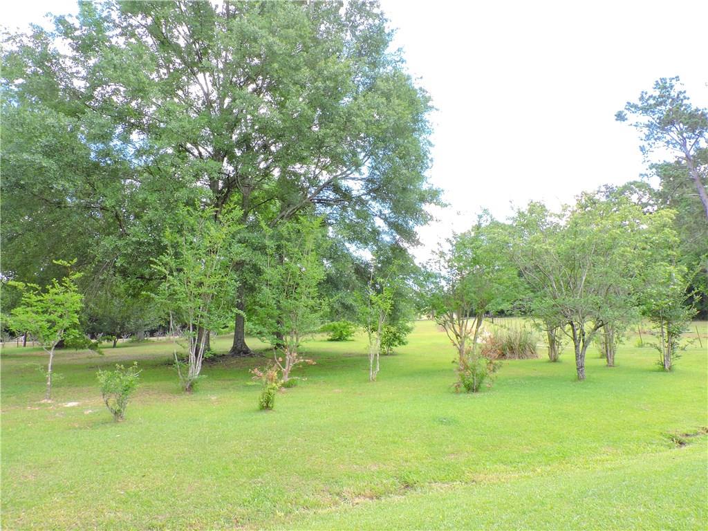 20245 Husser Road Franklinton, LA 70438 - Photo 10 of 36 Gallery Image 10