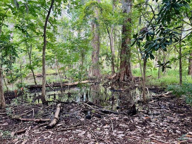 220 River Road Washington, NC 27889 - Photo 30 of 34 IMG_1033