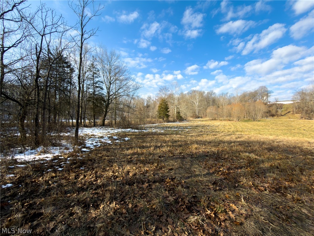 14178 West Road Wakeman, OH 44889 - Photo 21 of 35 View of local wilderness
