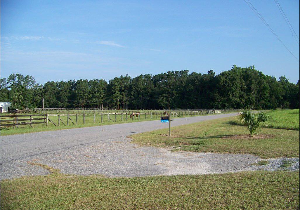 235 State Rd S-5-93 Ehrhardt, SC 29081 - Photo 6 of 8 6