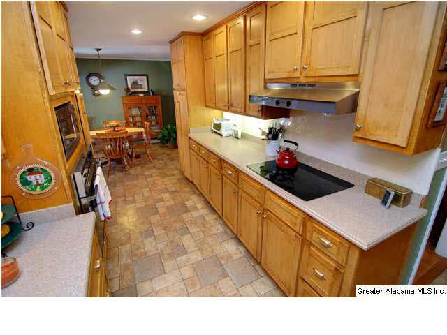 5278 Elm Road Mount Olive, AL 35117 - Photo 6 of 30