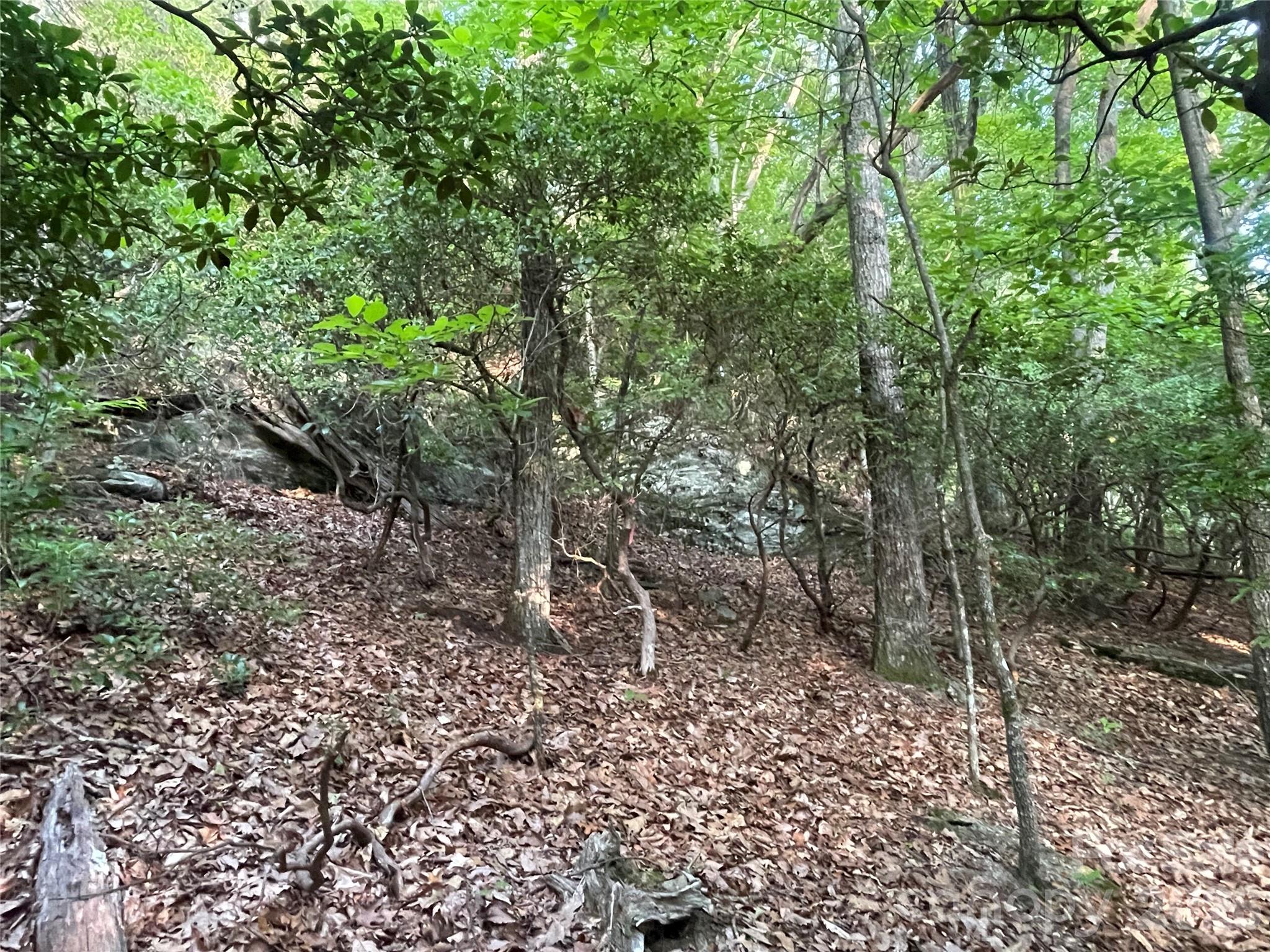 99999 Red Oak Forest Road, Unit 1418 Fairview, NC 28730 - Photo 6 of 24
