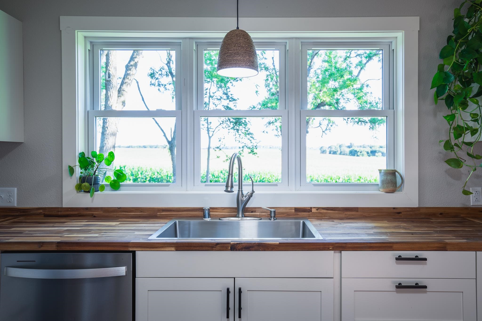 2368 West Winneshiek Road Freeport, IL 61032 - Photo 4 of 39 a kitchen with a window cabinets and a potted plant