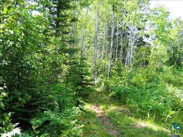 D D Blesner Lake Road Finland, MN 55603 - Photo 1 of 3 Gallery Image 1