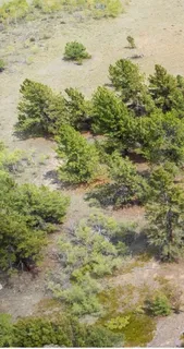 $100,000 | 31663 Redhill Road, Fairplay, CO 80440