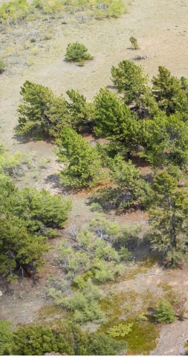 31663 Redhill Road Fairplay, CO 80440 - Photo 7 of 8