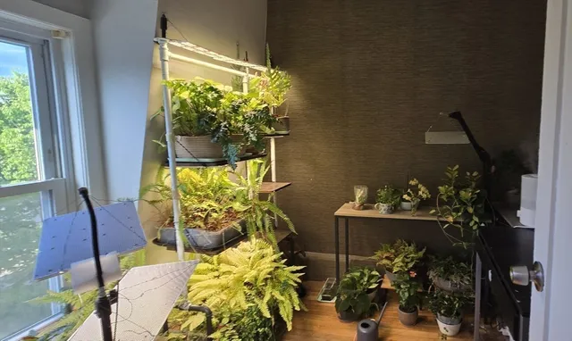 a vase of flowers sitting on a table