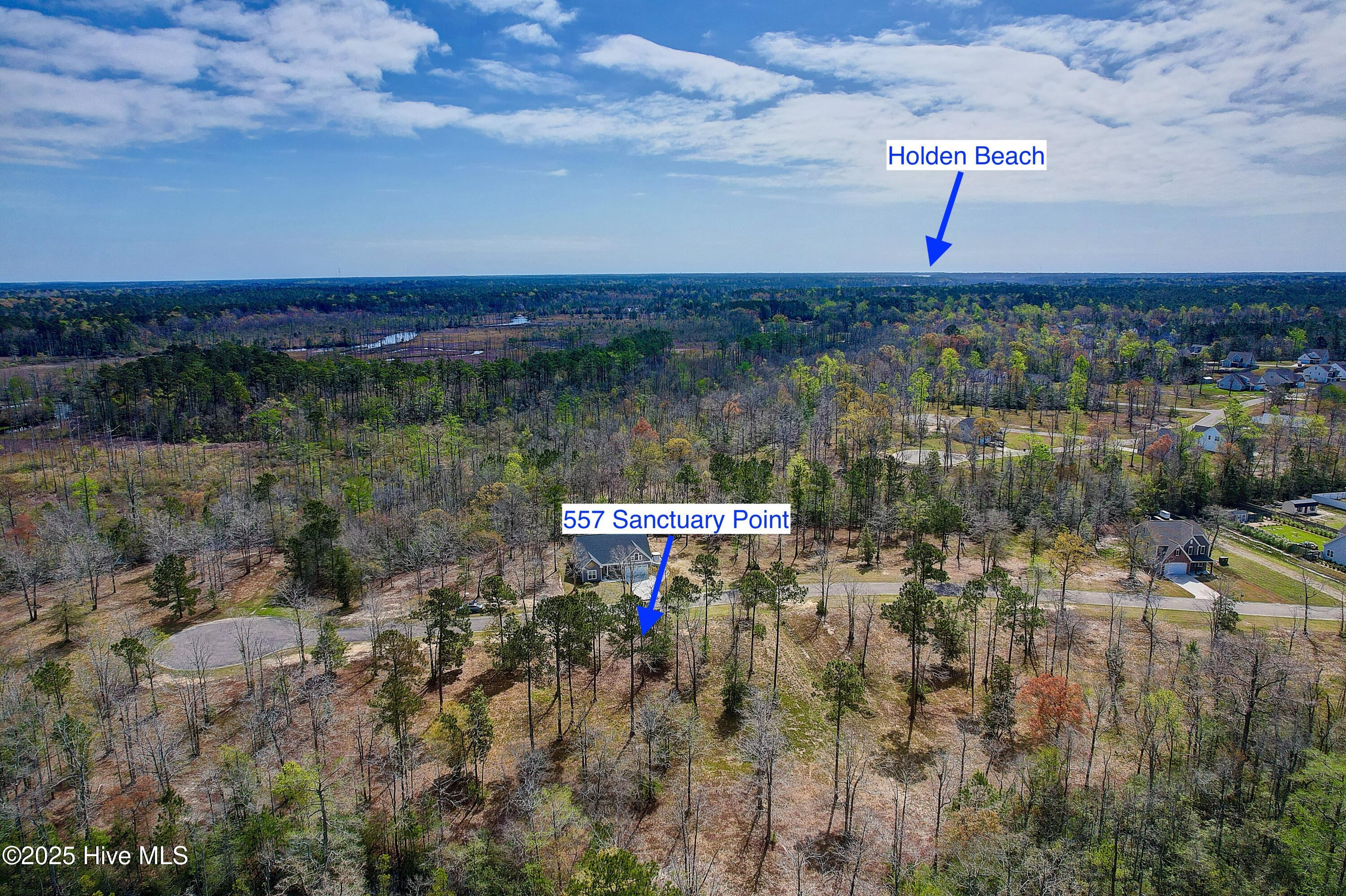 557 Sanctuary Point Southwest Supply, NC 28462 - Photo 2 of 22 557SanctuaryPoint - 14