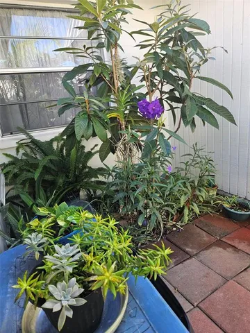 $99,000 | 4227 Rax Place, Unit 4227, New Port Richey, FL 34652