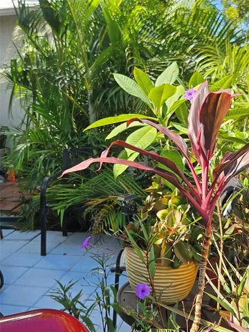 $99,000 | 4227 Rax Place, Unit 4227, New Port Richey, FL 34652