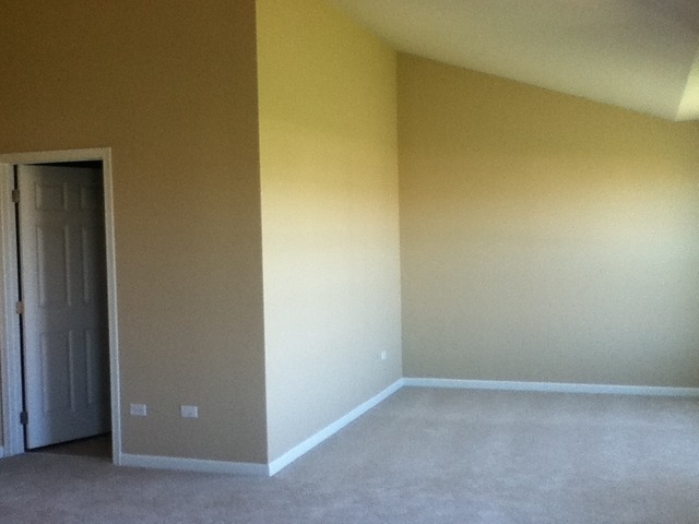 1173 Falcon Ridge Drive, Unit 67 Elgin, IL 60124 - Photo 14 of 24