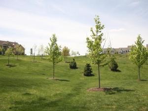 1173 Falcon Ridge Drive, Unit 67 Elgin, IL 60124 - Photo 23 of 24