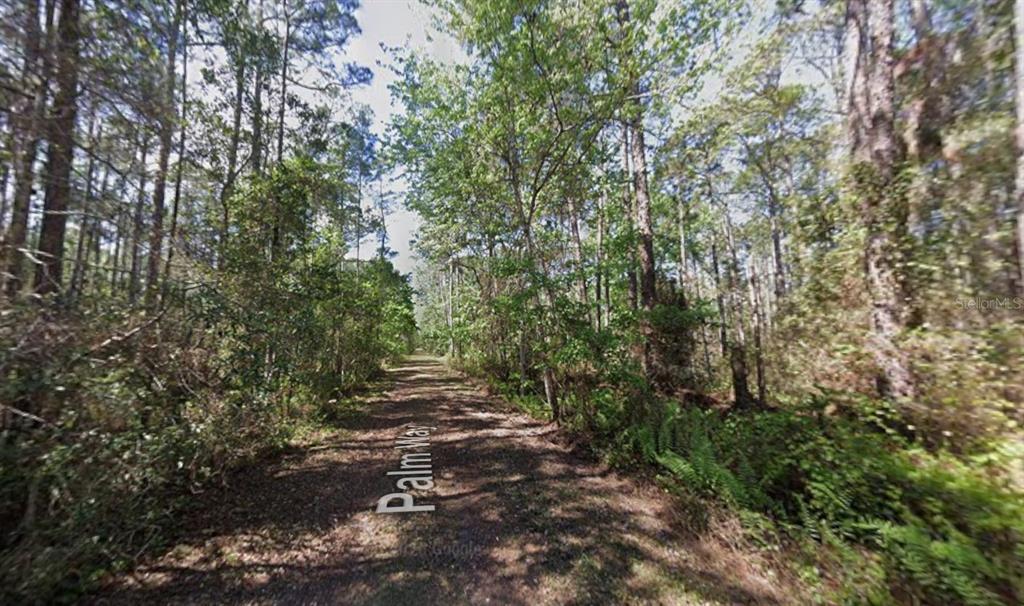 416 Palm Way Georgetown, FL 32139 - Photo 2 of 3 a big yard with lots of green space