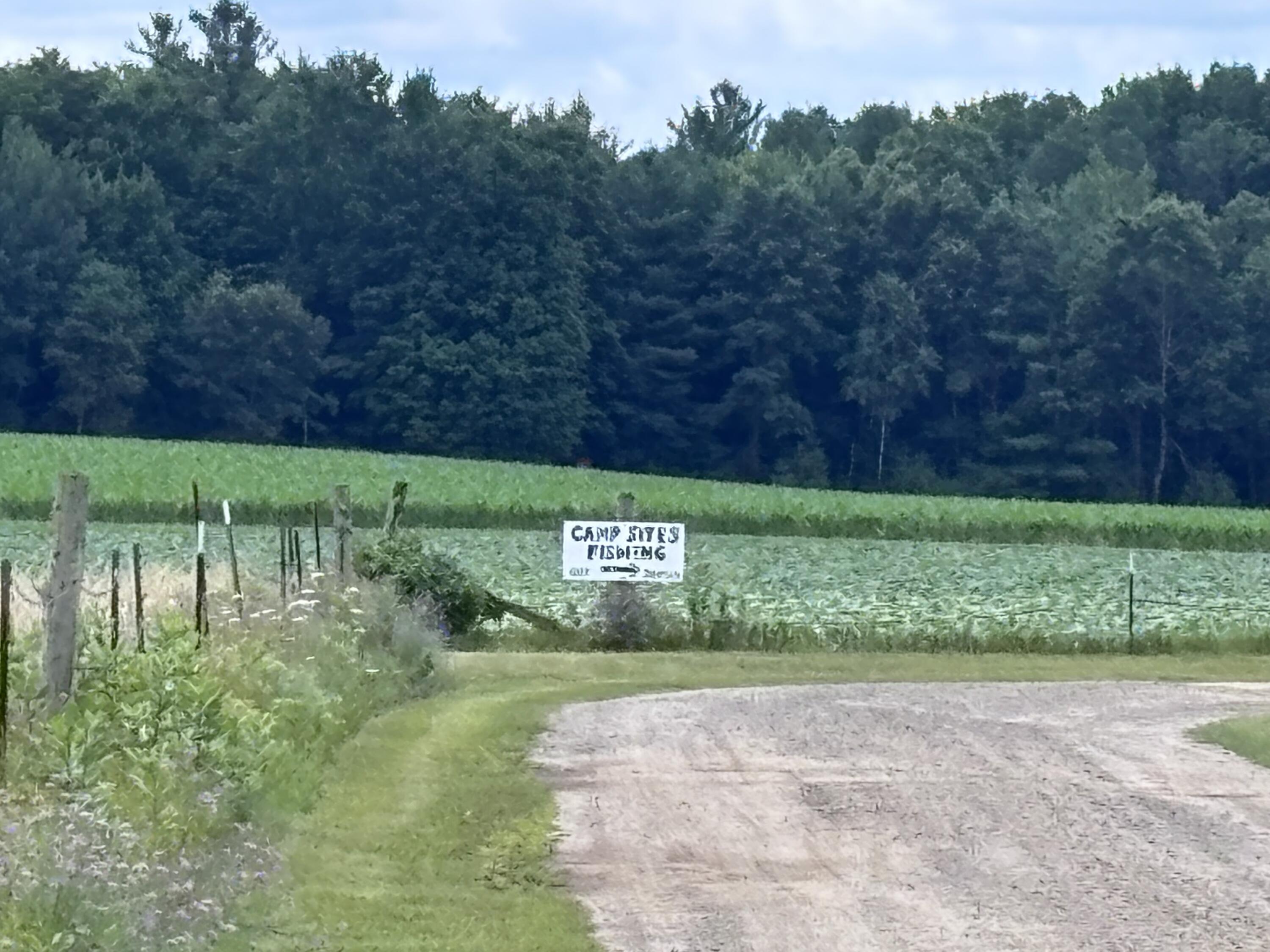 Johnson Road Kaleva, MI 49645 - Photo 20 of 20 IMG_5385