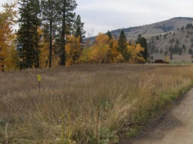Tbd Hummingbird Road Curlew, WA 99118 - Photo 5 of 7 Gallery Image 5