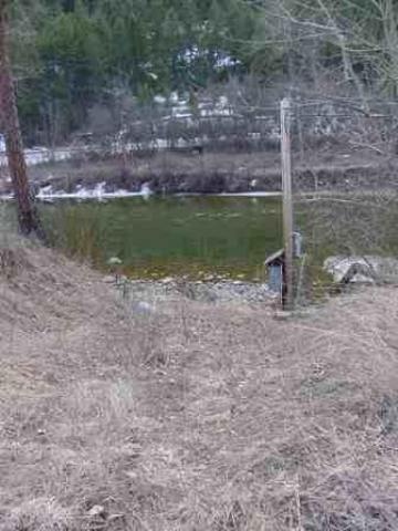 Tbd Hummingbird Road Curlew, WA 99118 - Photo 6 of 7 Gallery Image 6