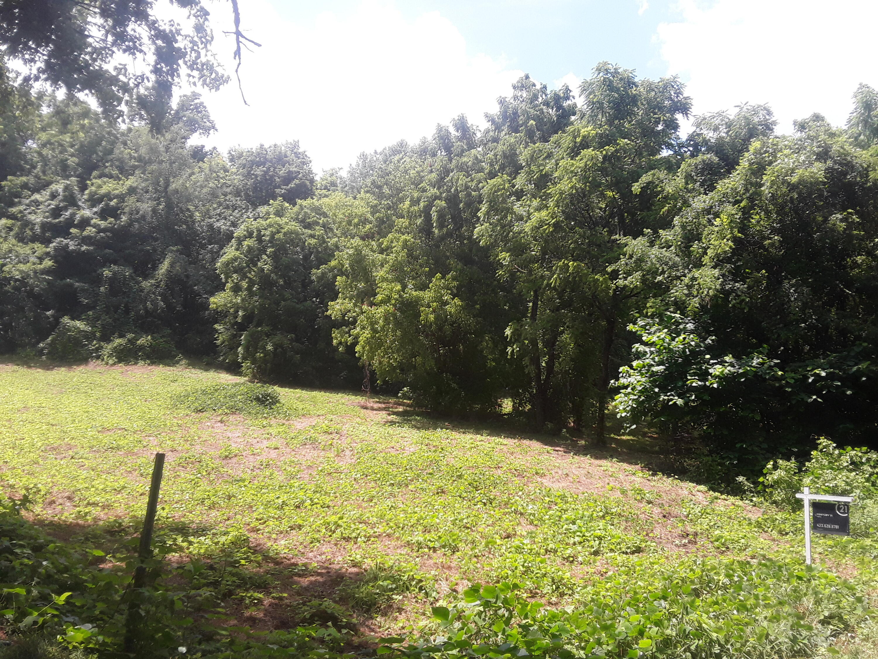 0 Little Warrensburg Road, Unit 9 Midway, TN 37809 - Photo 1 of 5 ready to build clearing