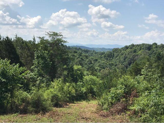 0 Little Warrensburg Road, Unit 9 Midway, TN 37809 - Photo 3 of 5 mountain views