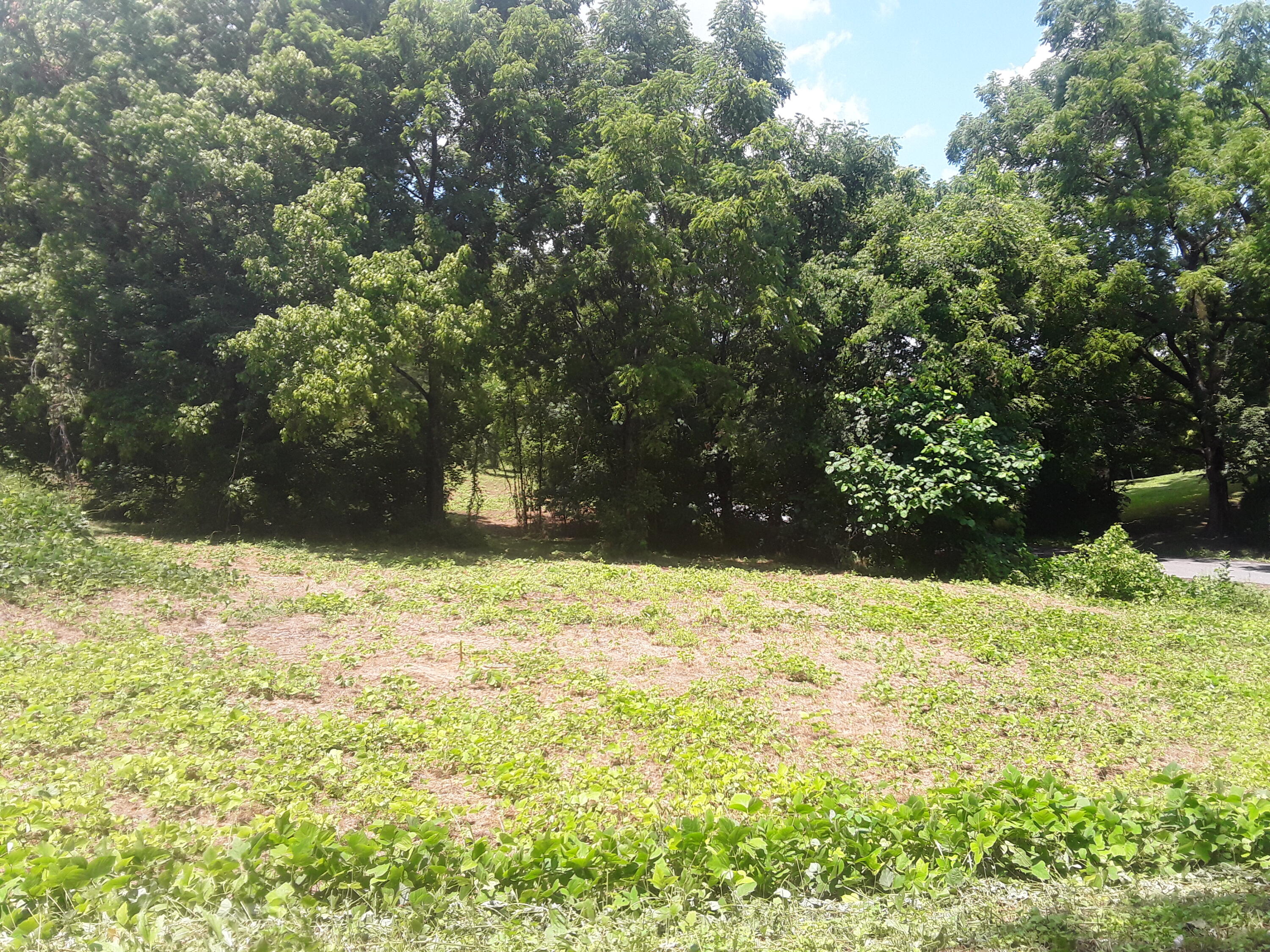 0 Little Warrensburg Road, Unit 9 Midway, TN 37809 - Photo 4 of 5 clearing at front