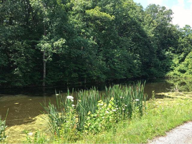0 Little Warrensburg Road, Unit 9 Midway, TN 37809 - Photo 5 of 5 spring fed pond