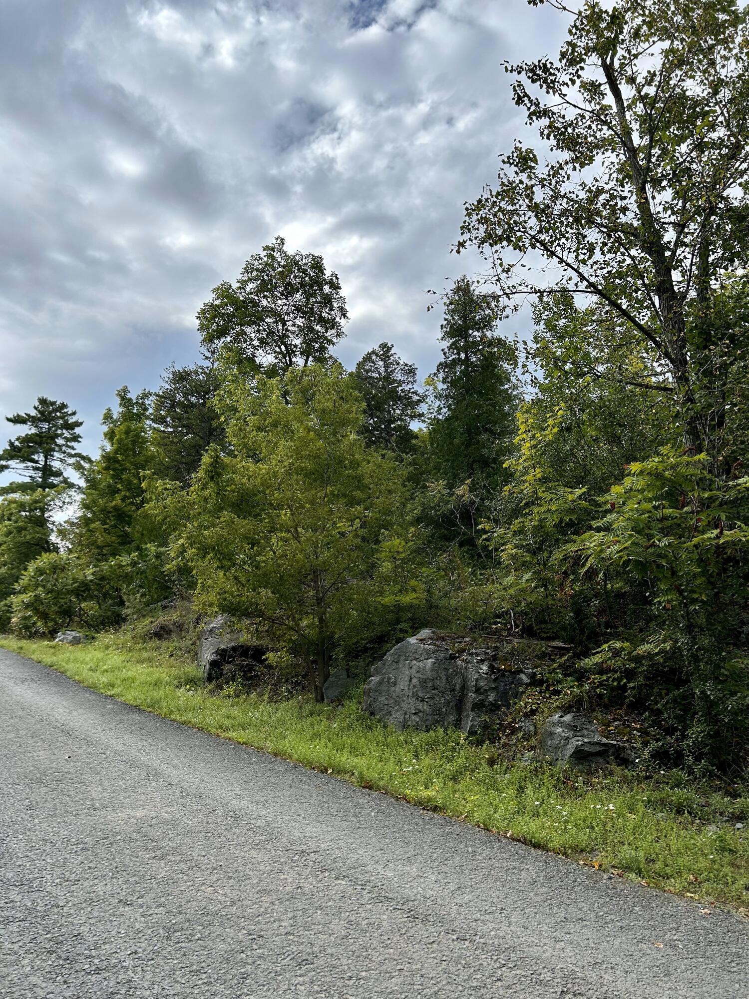 0 Bluff Point Drive Plattsburgh, NY 12901 - Photo 13 of 21 15