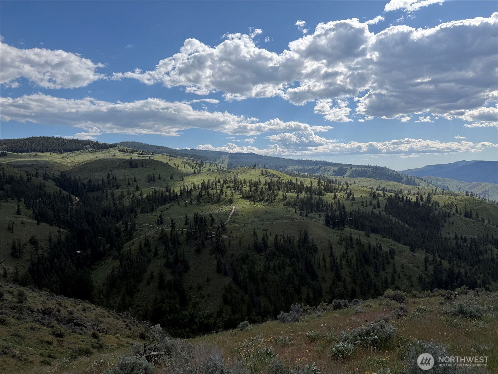 0 Tyee View Loop Road Waterville, WA 98858 - Photo 1 of 18 a view of a city with lots of green space