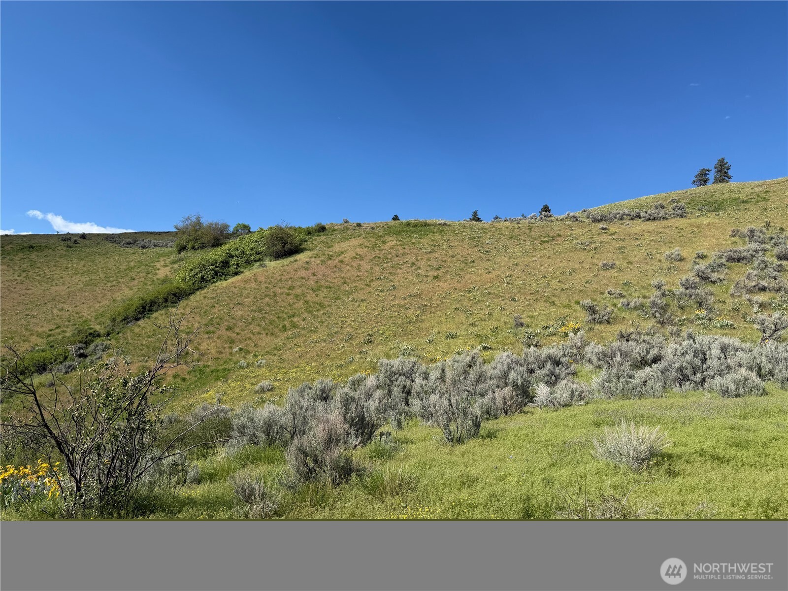 0 Tyee View Loop Road Waterville, WA 98858 - Photo 13 of 18 a view of a city