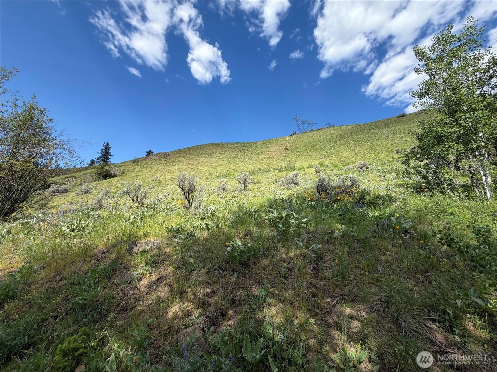 0 Tyee View Loop Road Waterville, WA 98858 - Photo 16 of 18