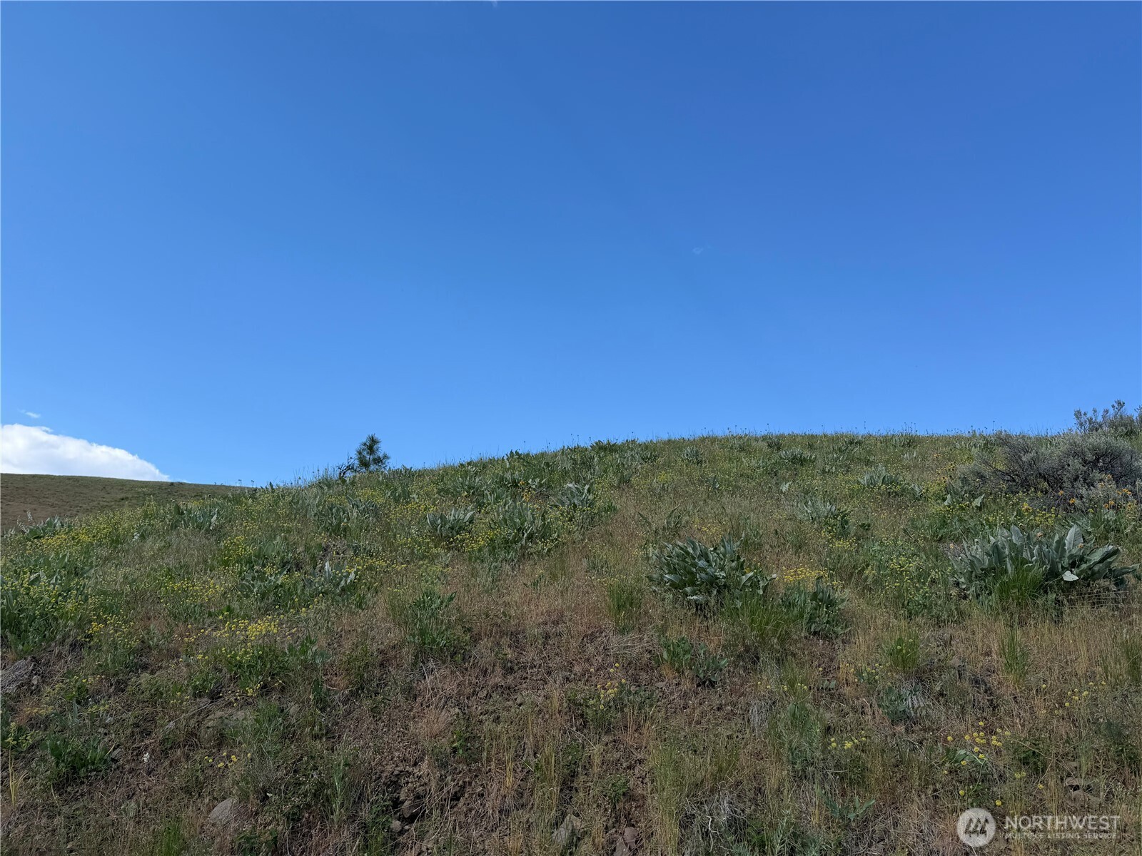 0 Tyee View Loop Road Waterville, WA 98858 - Photo 18 of 18 a view of a green field