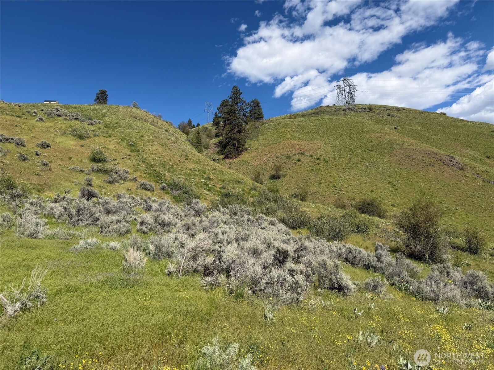 0 Tyee View Loop Road Waterville, WA 98858 - Photo 3 of 18 a view of a field with an trees