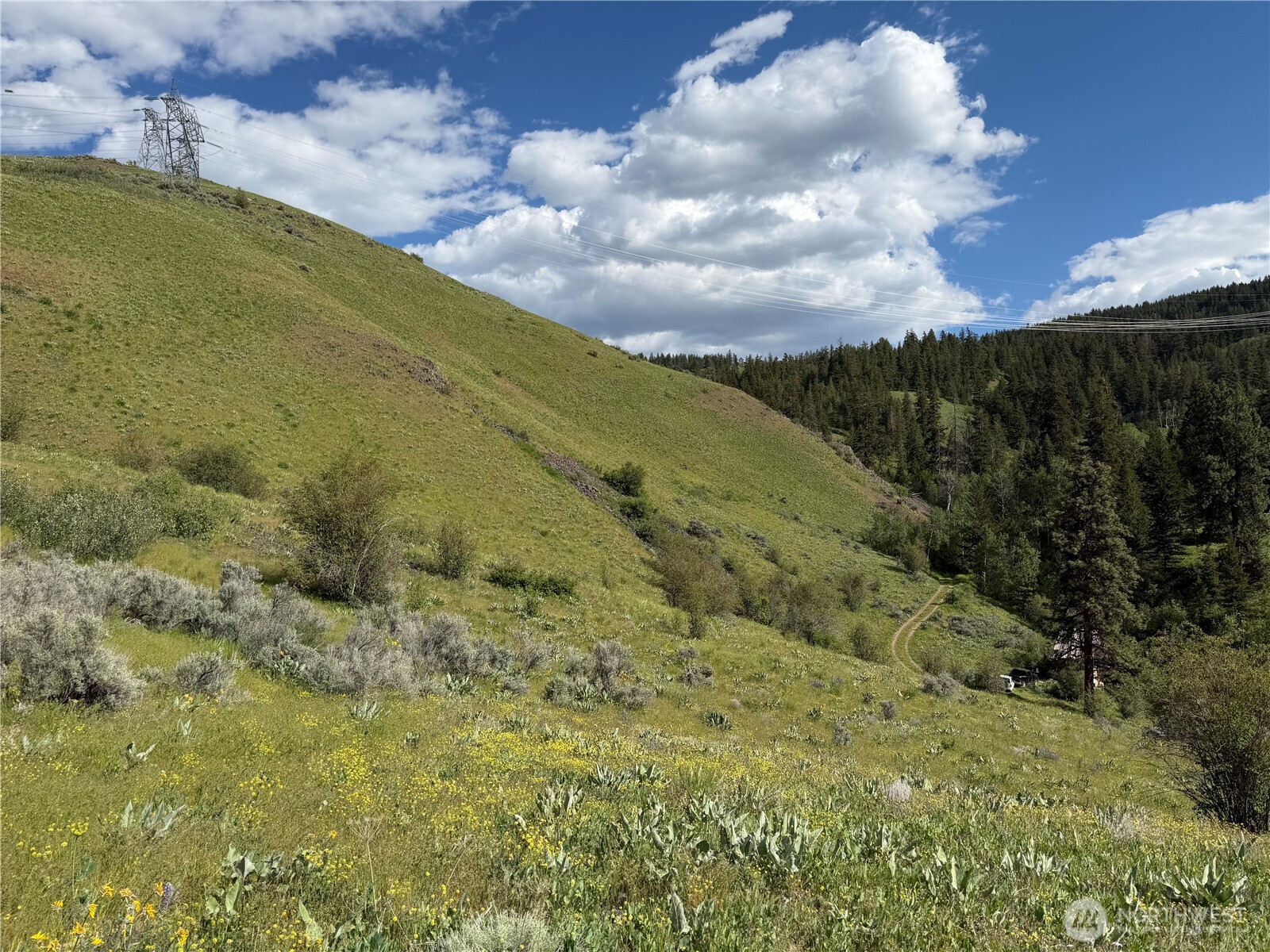 0 Tyee View Loop Road Waterville, WA 98858 - Photo 4 of 18