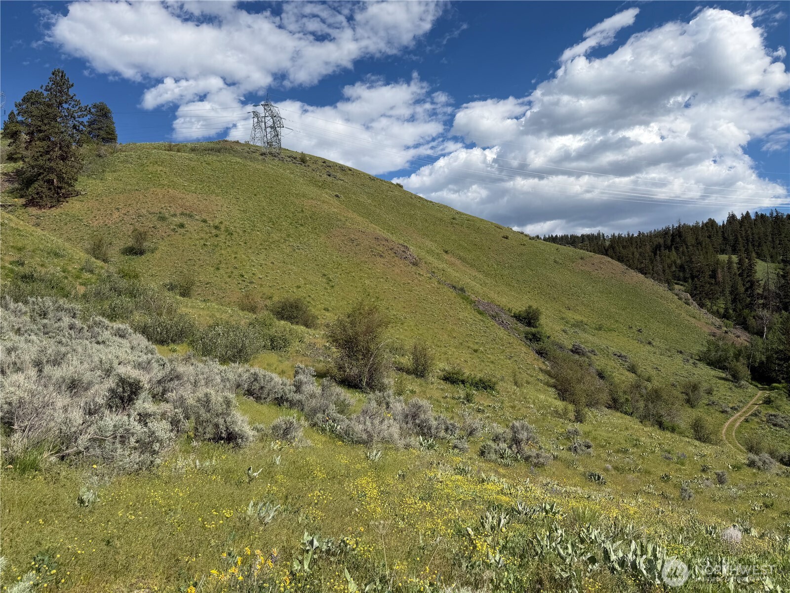 0 Tyee View Loop Road Waterville, WA 98858 - Photo 5 of 18 a view of a field with an ocean