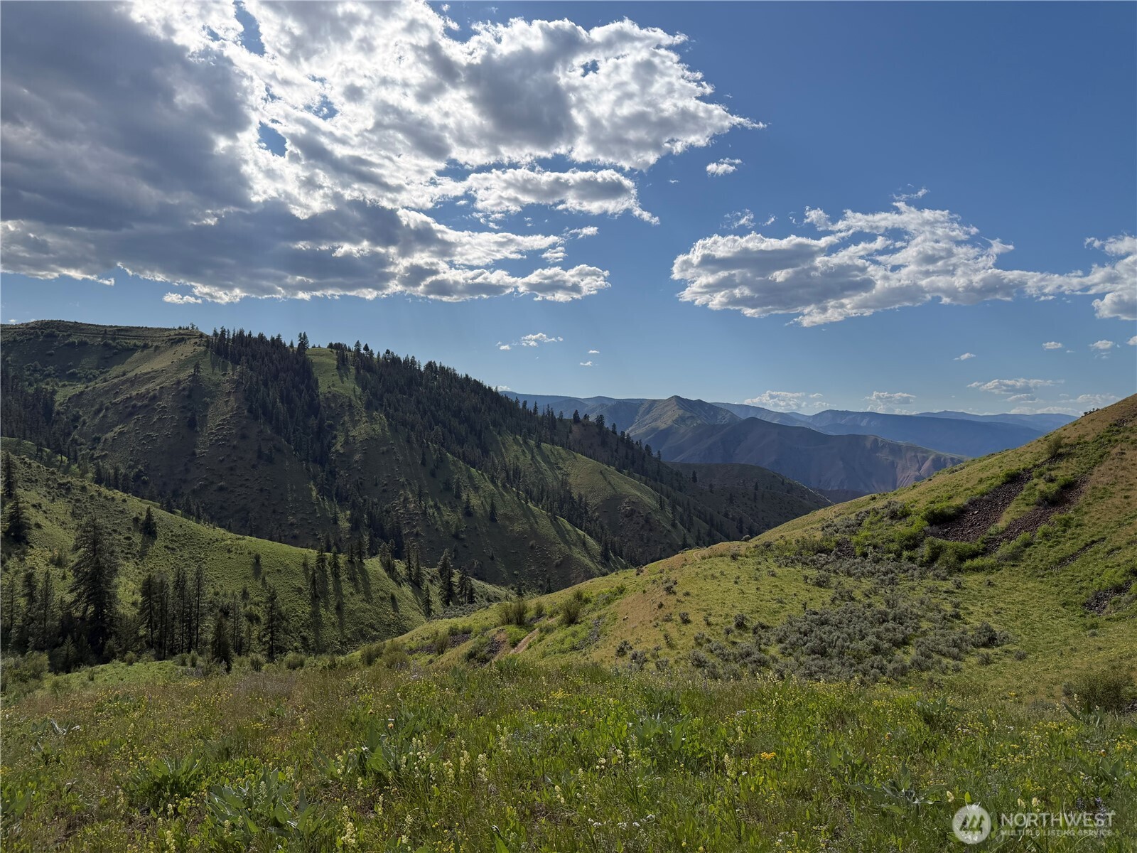 0 Tyee View Loop Road Waterville, WA 98858 - Photo 6 of 18 a view of a yard
