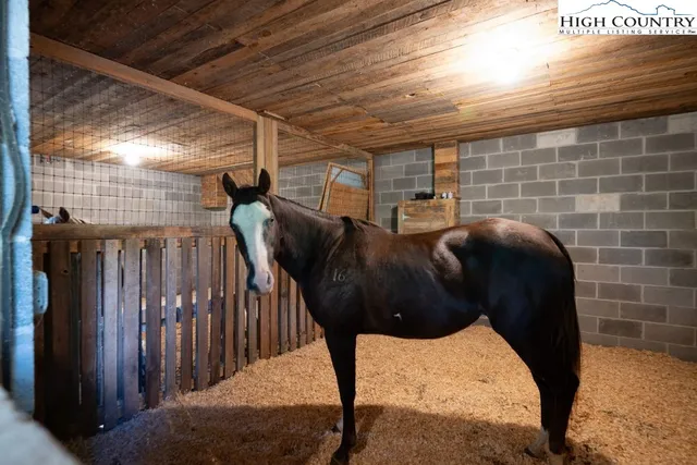a house view with a backyard space