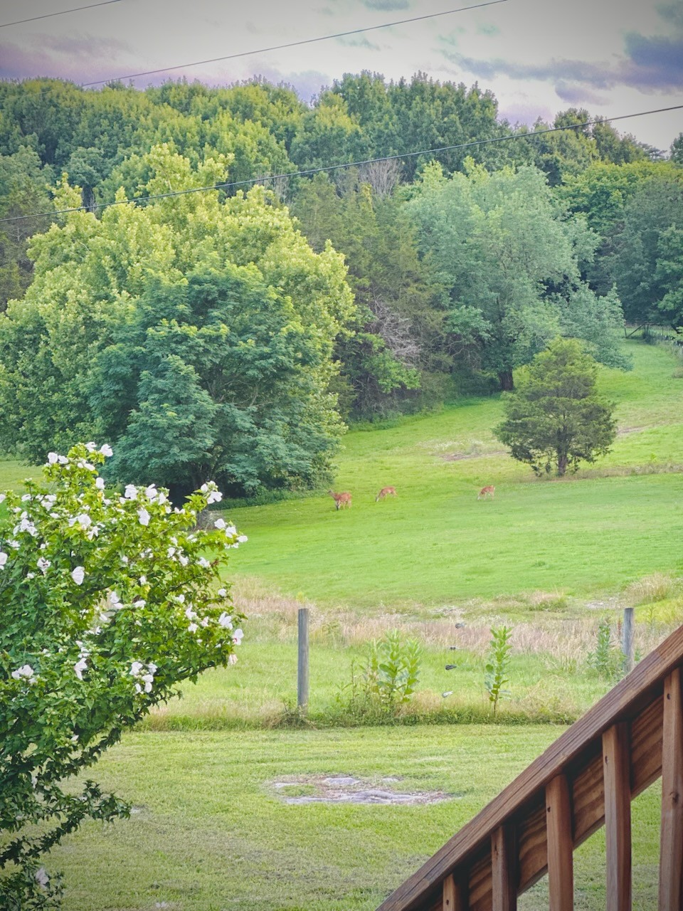 2770 Beech Log Road Watertown, TN 37184 - Photo 66 of 87